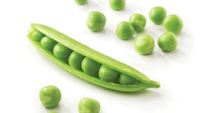 Making a Hero out of Pea Proteins at PGPI