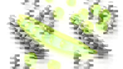 Making a Hero out of Pea Proteins at PGPI