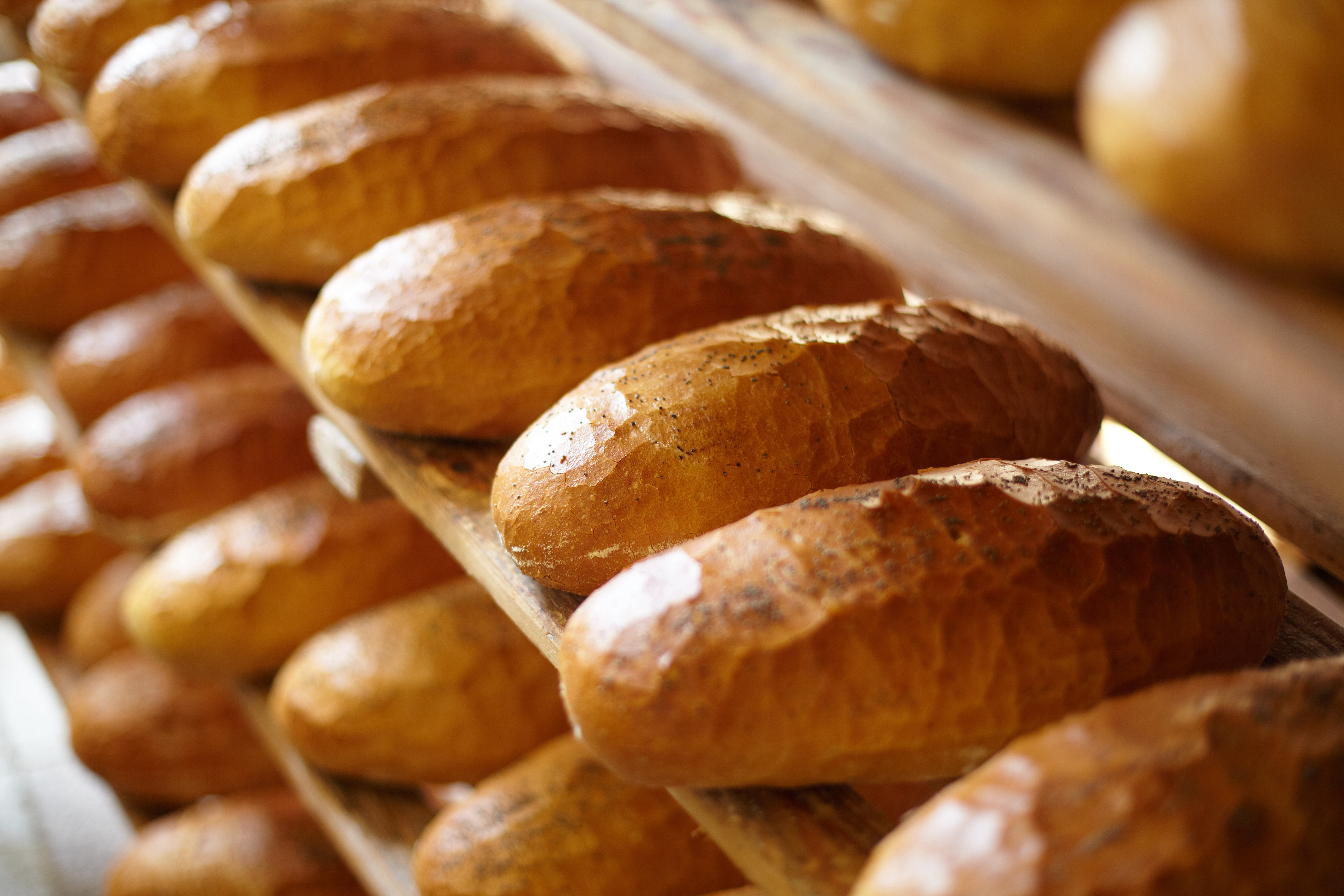 Breads, cakes, pastries, gluten-free products